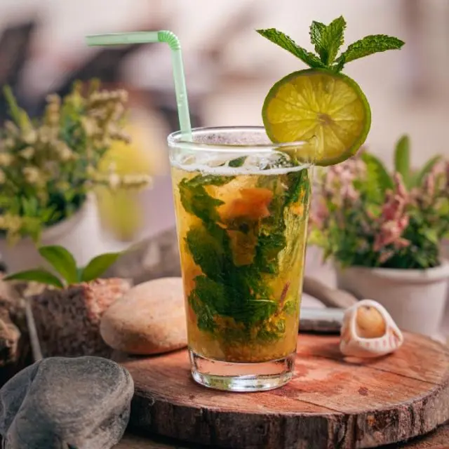 Mojito Selva